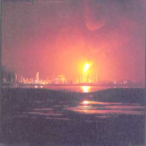 The petrochemical refineries decorate our rivers, like shrines. New Orleans, 1986.